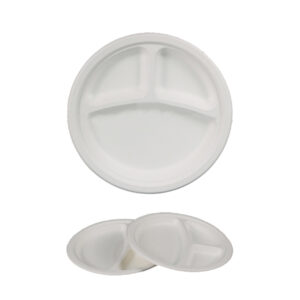 3 Compartment Plate
